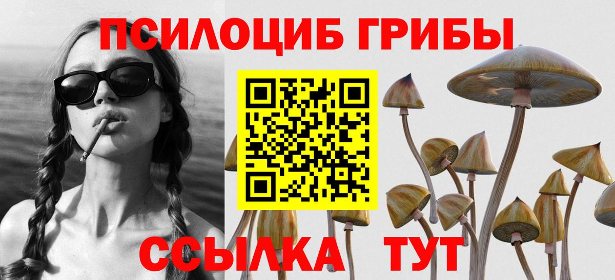 Галлюциногенные грибы прущие грибы  Вход с VPN  Псилоцибиновые грибы мицелий  Лобня 